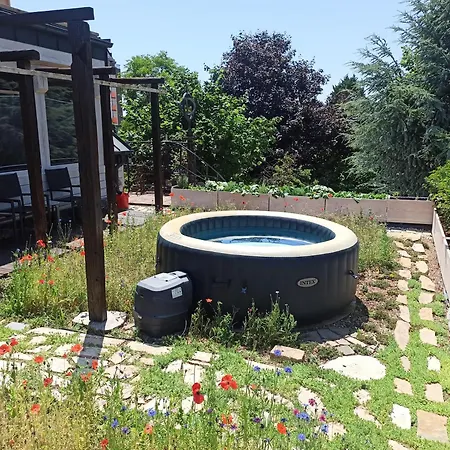 Nove Podkrovie Umelca * Nagyszombat